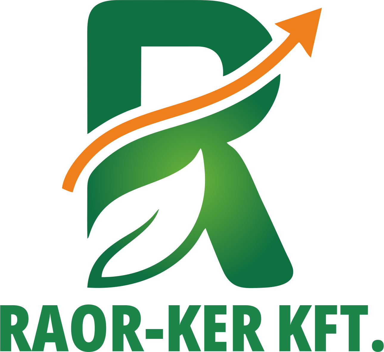 Raorker Kft.